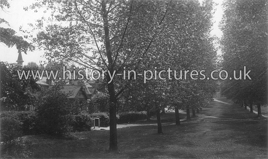 The Avenue, Woodford Green, Essex, c.1921
